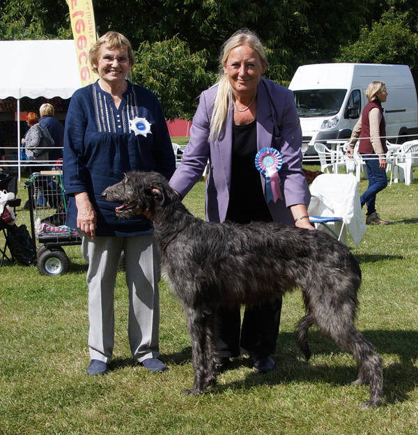 Best Puppies Leeds 2015